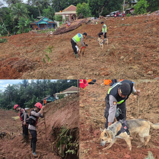 
					Polri Kerahkan Anjing Pelacak dalam Pencarian Korban Longsor Cilacap