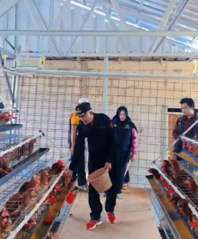 
					Program Ketahanan Pangan 2025 Desa Ciburuy Fokus Kembangkan Peternakan, Perikanan, dan Pertanian