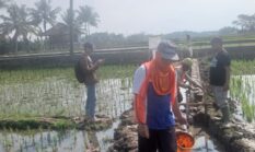 Awak Media Soroti Dugaan Kejanggalan Proyek P3-TGAI di Desa Munjul, Hak Jawab Ketua Panitia dan Kepala Desa Masih Ditunggu