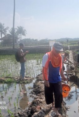 Awak Media Soroti Dugaan Kejanggalan Proyek P3-TGAI di Desa Munjul, Hak Jawab Ketua Panitia dan Kepala Desa Masih Ditunggu