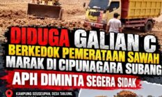 DIDUGA GALIAN C ILEGAL BERKEDOK PEMERATAAN SAWAH MARAK DI CIPUNAGARA SUBANG, APH DIMINTA SEGERA SIDAK